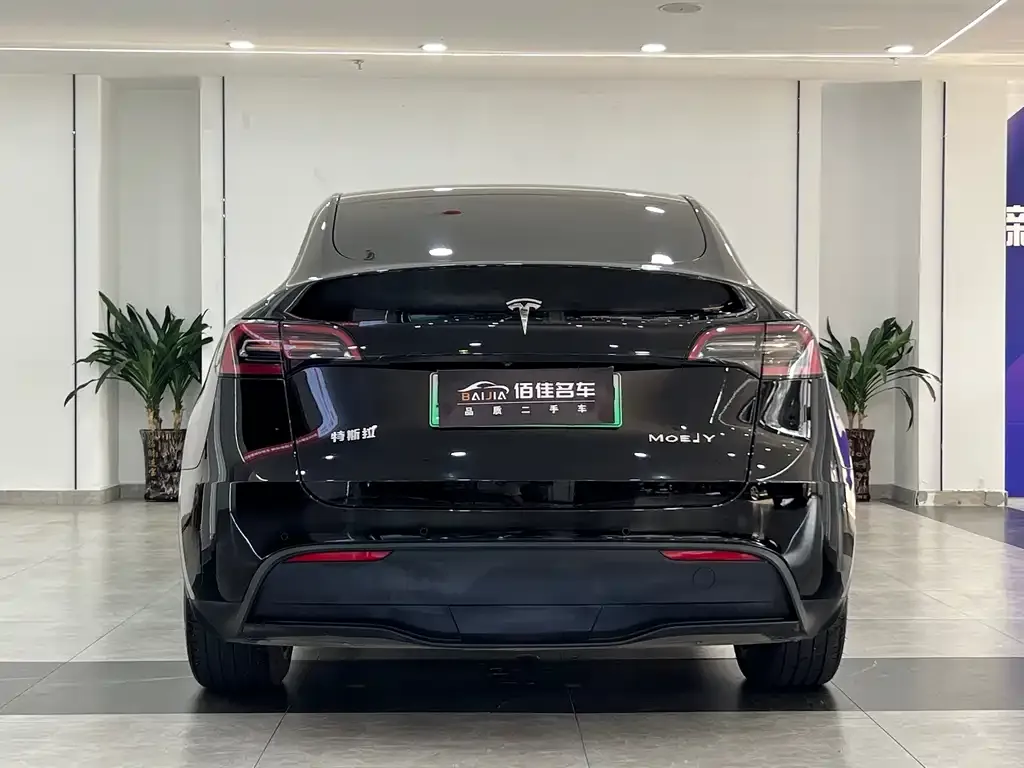 Tesla Model Y — фото 2