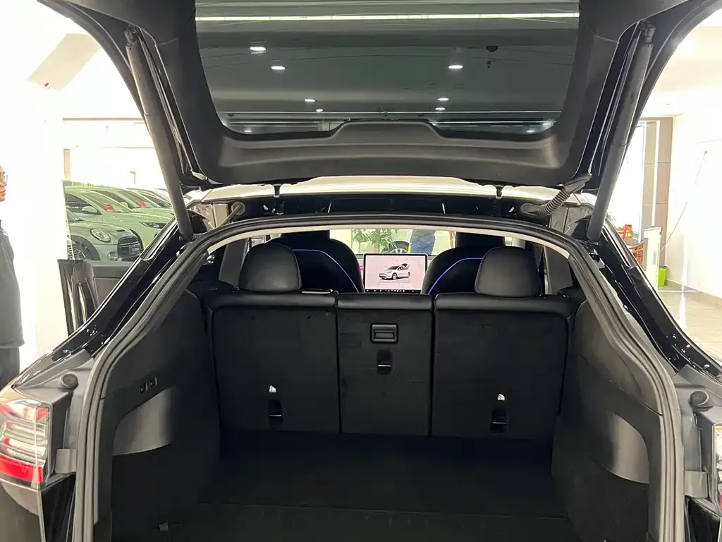 Tesla Model Y — фото 5