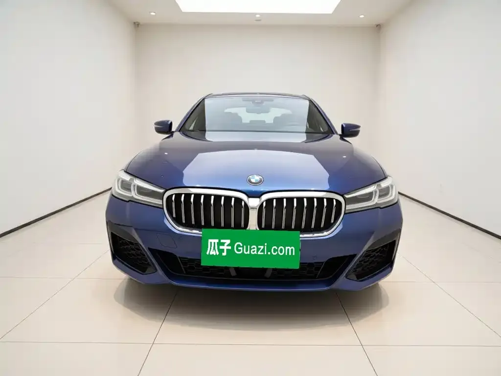 BMW 5 Series New Energy — фото 5