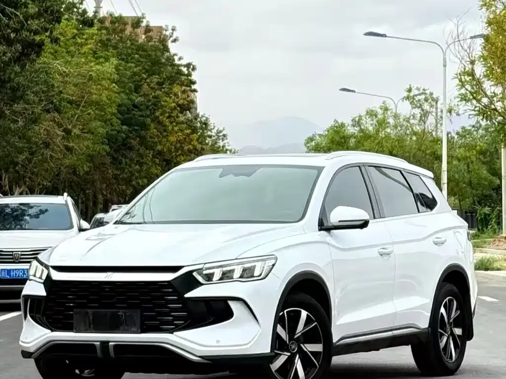 BYD Pro New Energy — фото 1