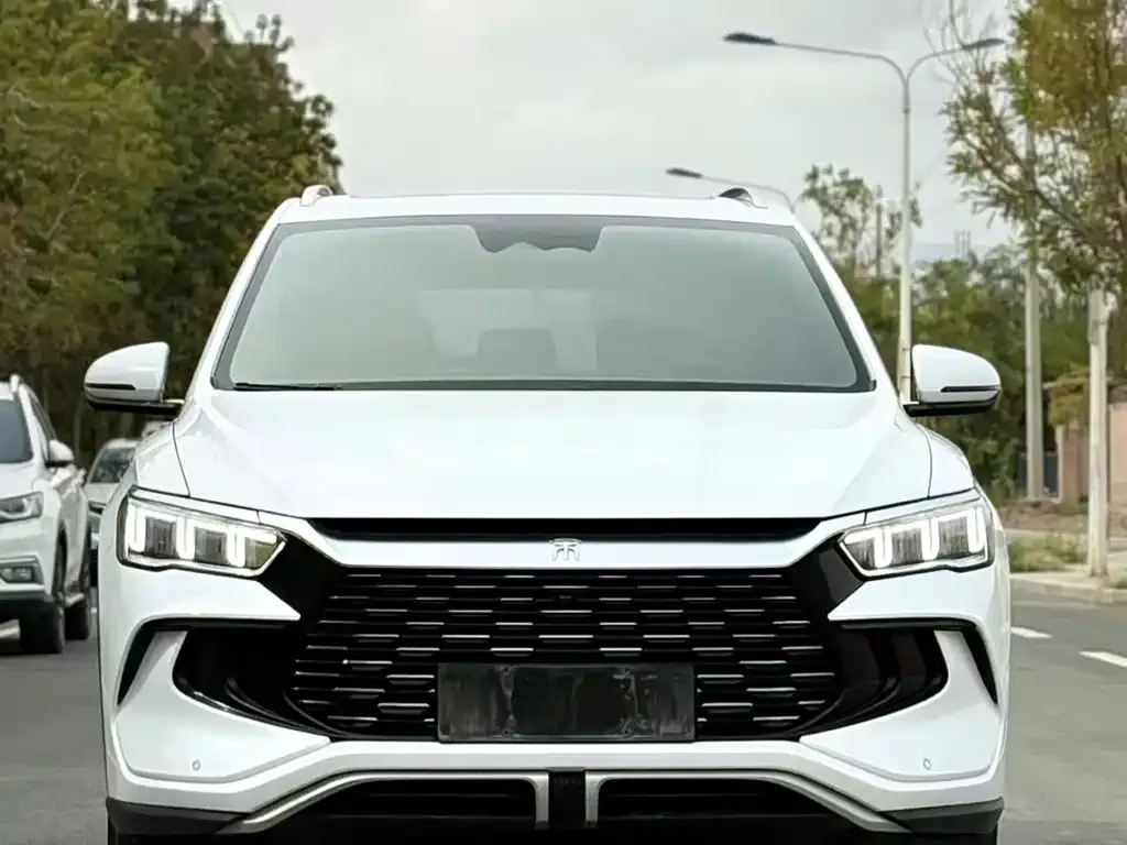 BYD Pro New Energy — фото 3