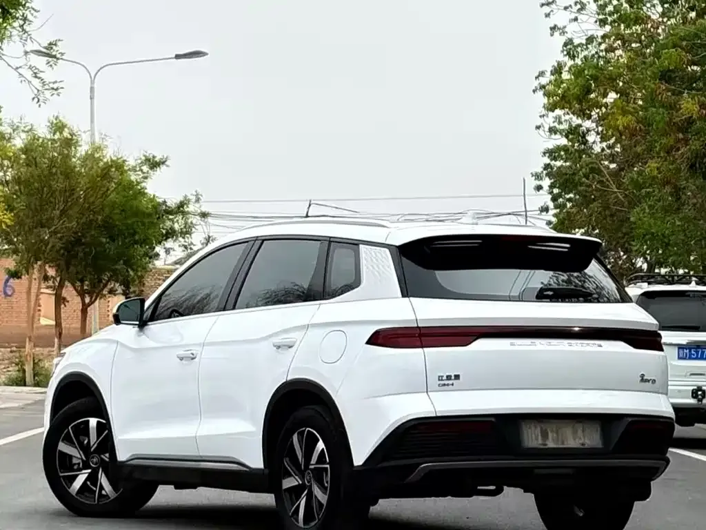 BYD Pro New Energy — фото 9