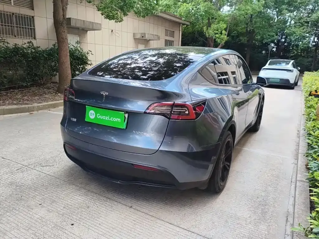 Tesla Model Y — фото 9