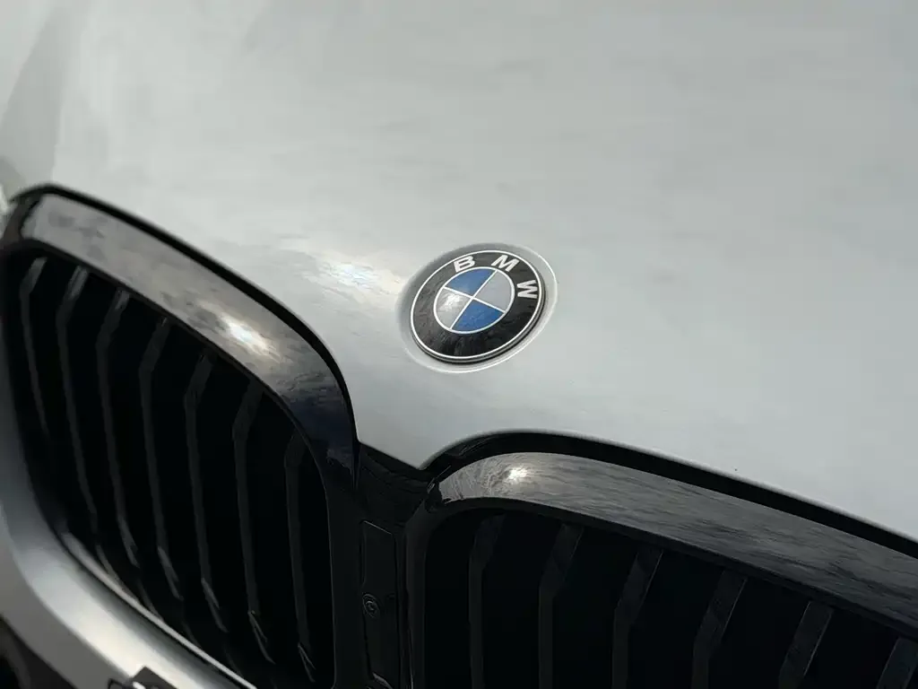 BMW X3 — фото 6