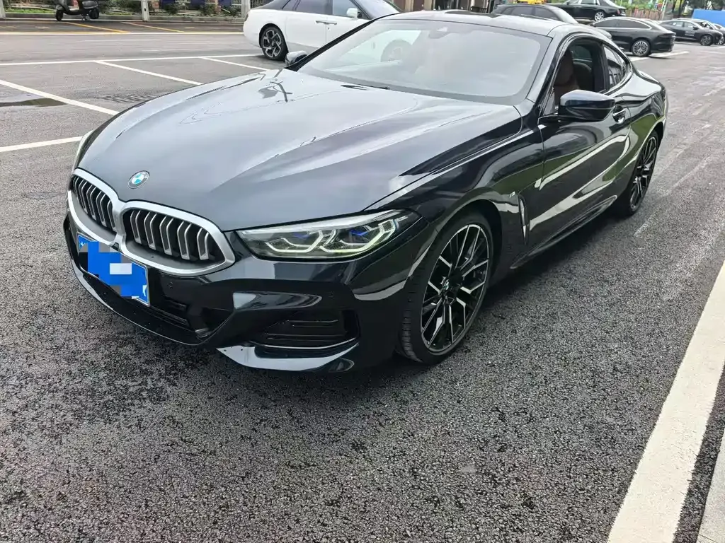 BMW 8 Series — фото 1