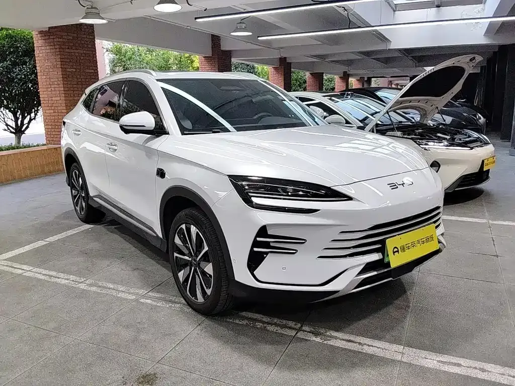 BYD PLUS New Energy — фото 6