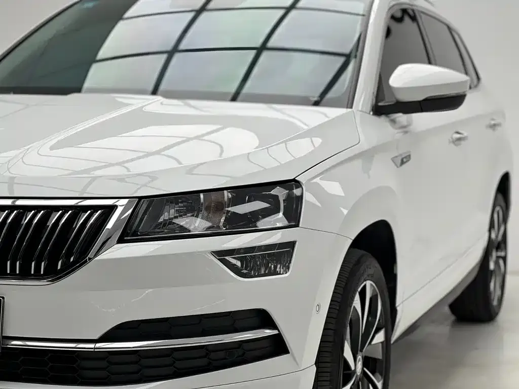 Skoda Karoq — фото 9