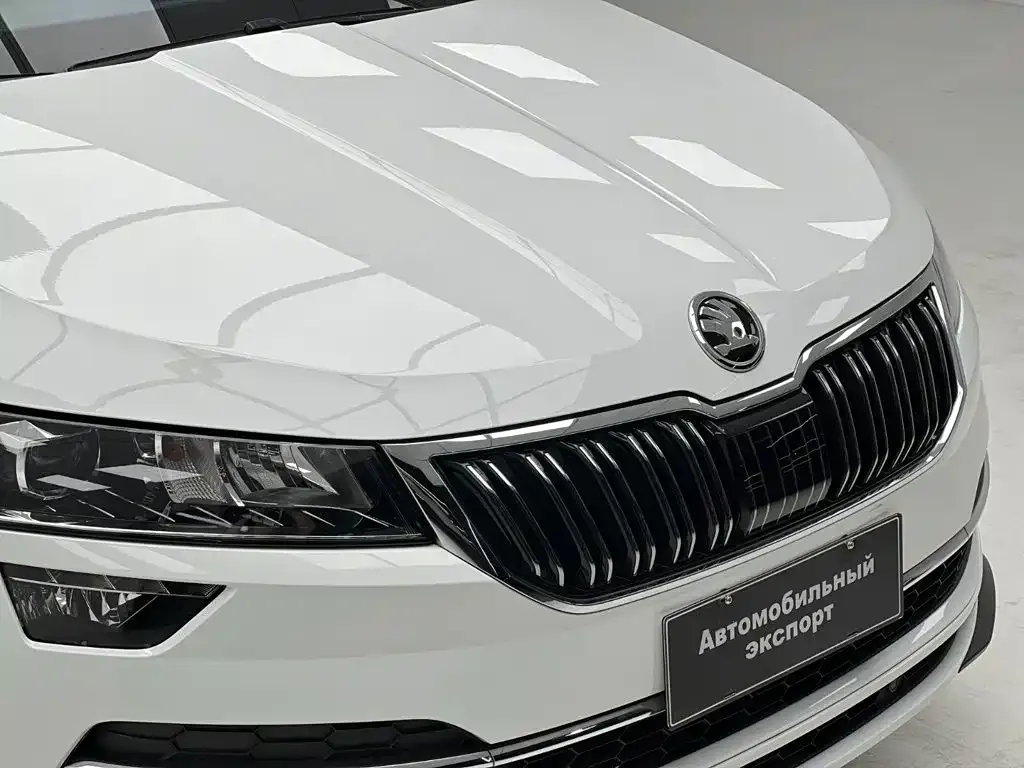 Skoda Karoq — фото 3