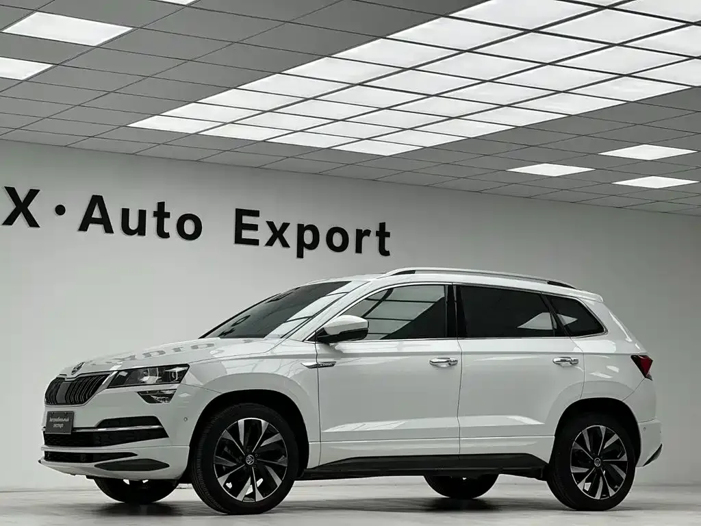 Skoda Karoq — фото 5
