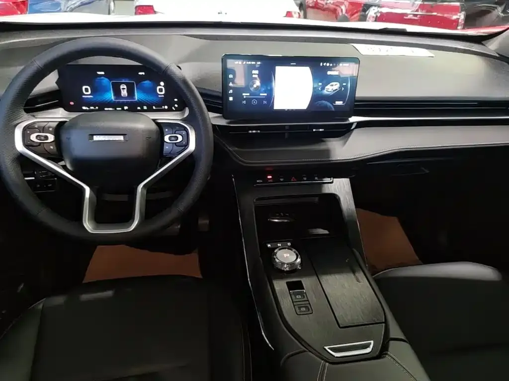 Haval H6 New Energy — фото 8