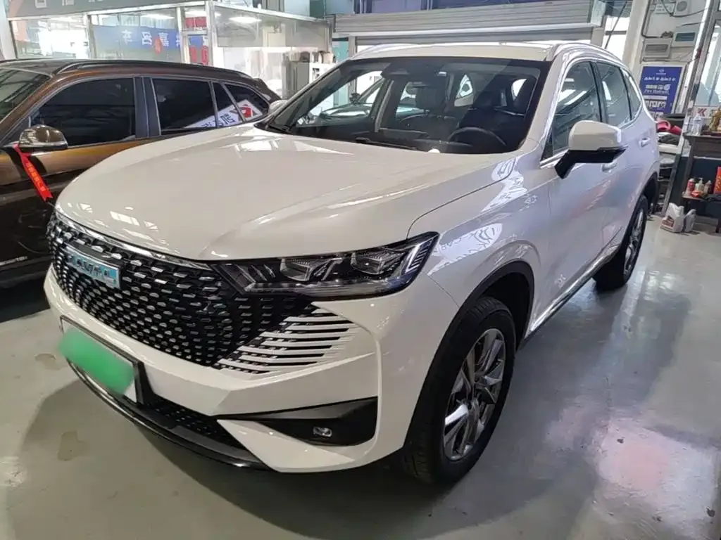 Haval H6 New Energy — фото 4
