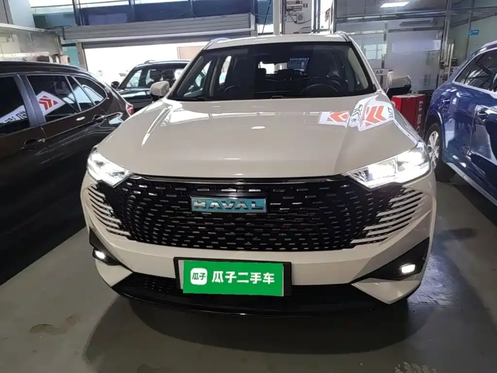 Haval H6 New Energy — фото 10
