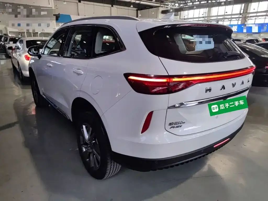 Haval H6 New Energy — фото 2