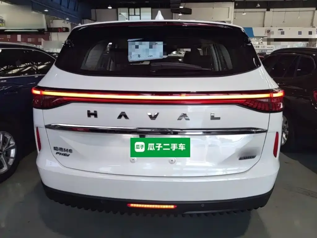 Haval H6 New Energy — фото 5