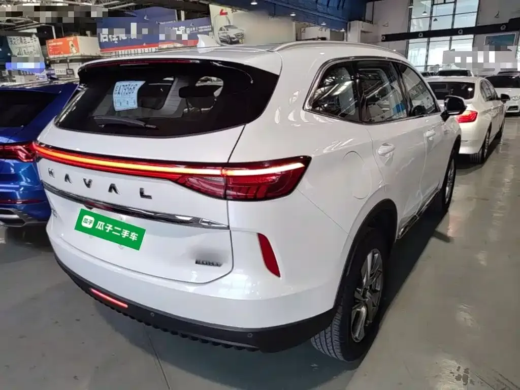 Haval H6 New Energy — фото 9