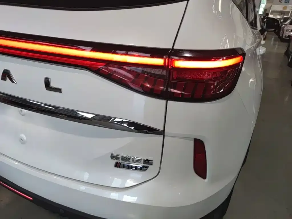Haval H6 New Energy — фото 7