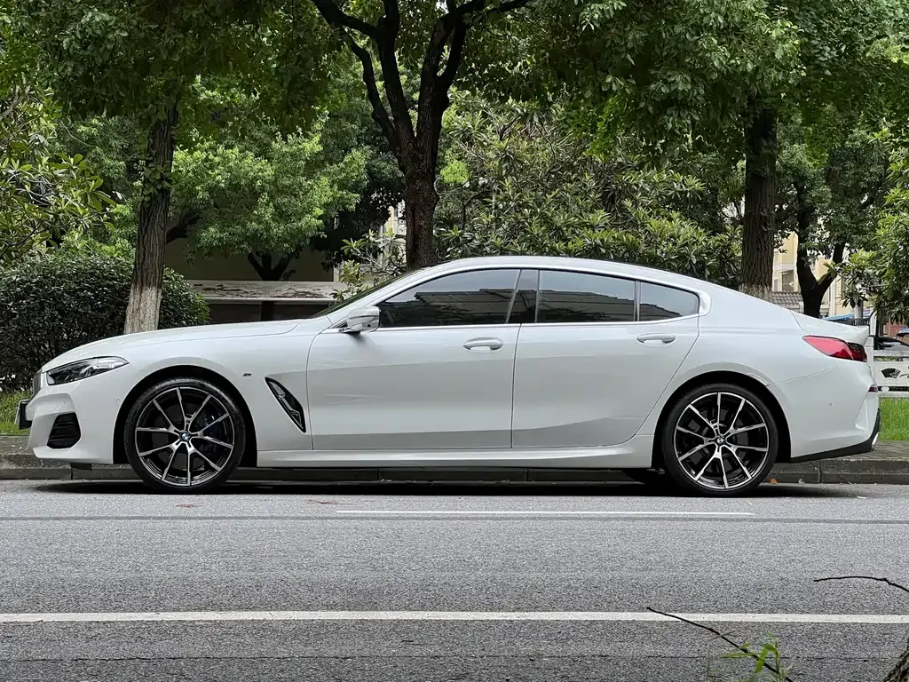 BMW 8 Series — фото 9
