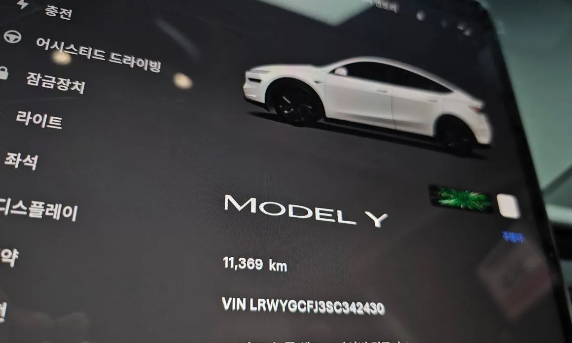 Tesla Model Y — фото 4
