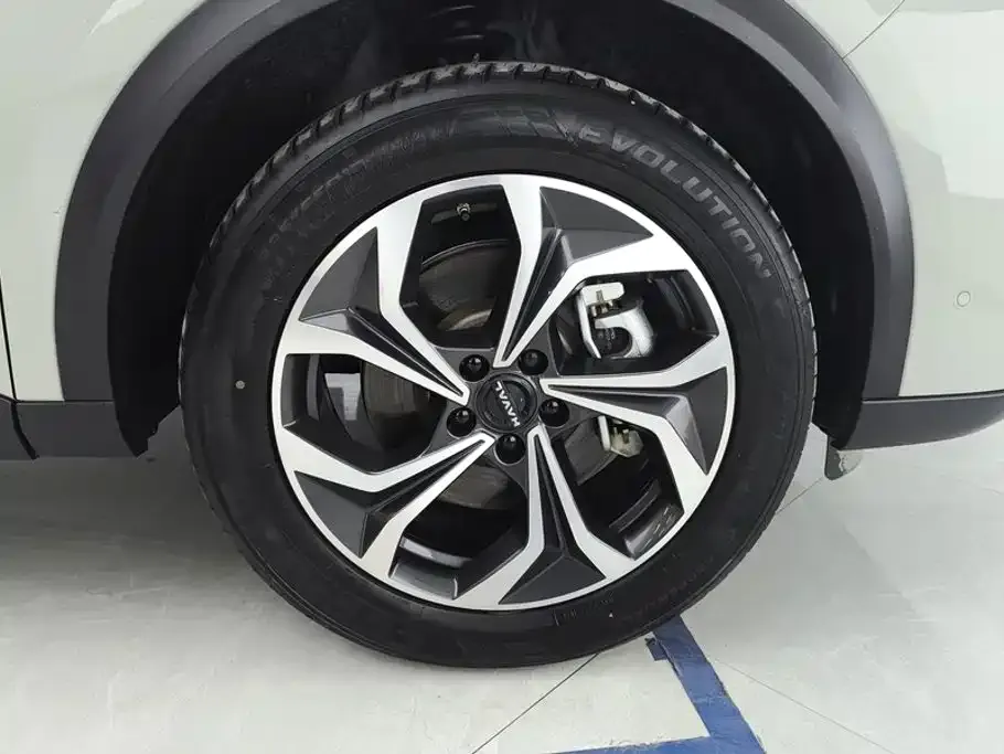 Haval Xiaolong MAX — фото 10