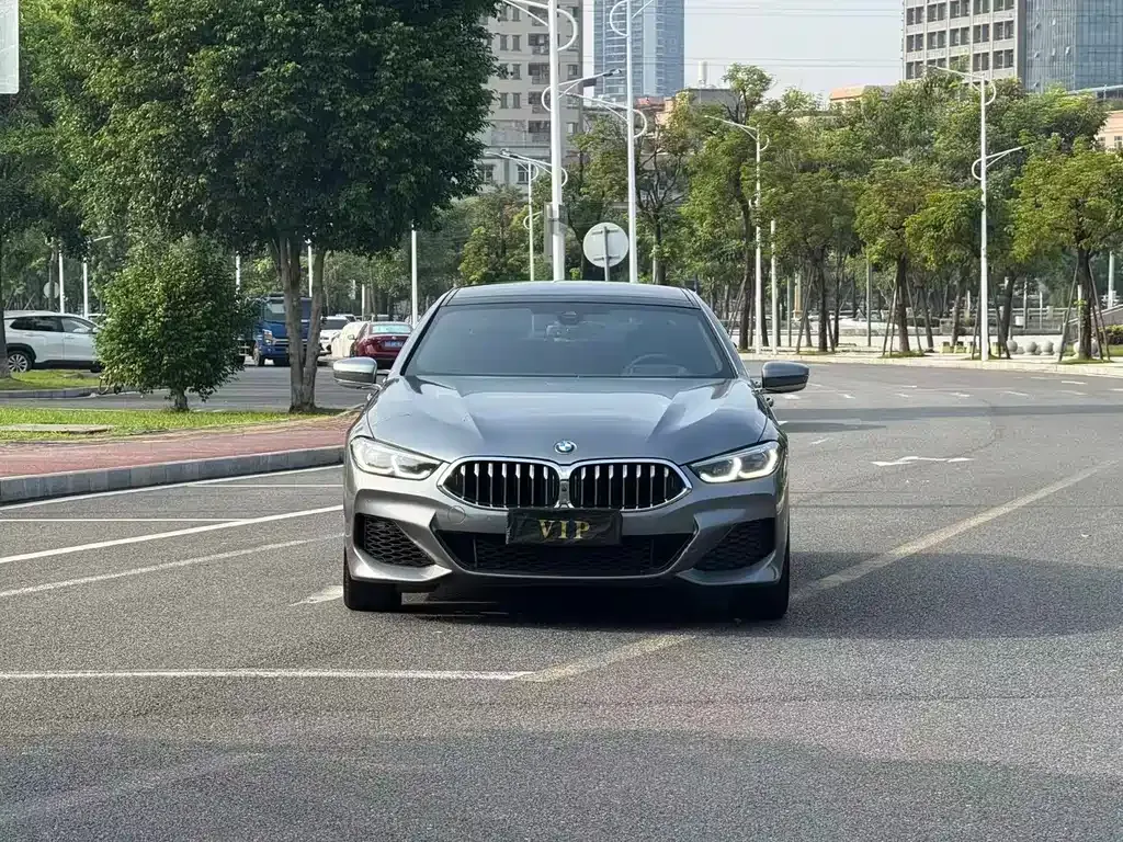 BMW 8 Series — фото 9
