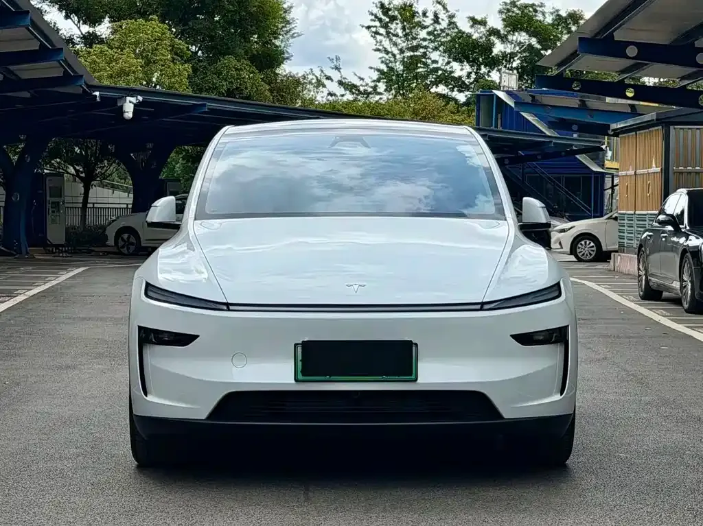 Tesla Model Y — фото 8