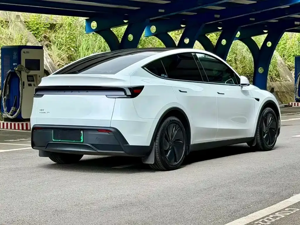 Tesla Model Y — фото 9