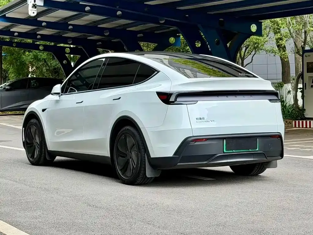 Tesla Model Y — фото 10