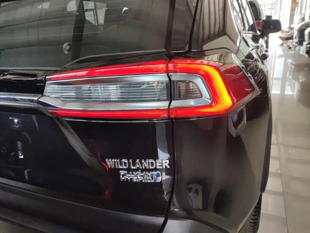 Toyota Wildlander New Energy — фото 6