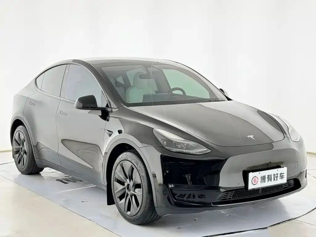Tesla Model Y — фото 10