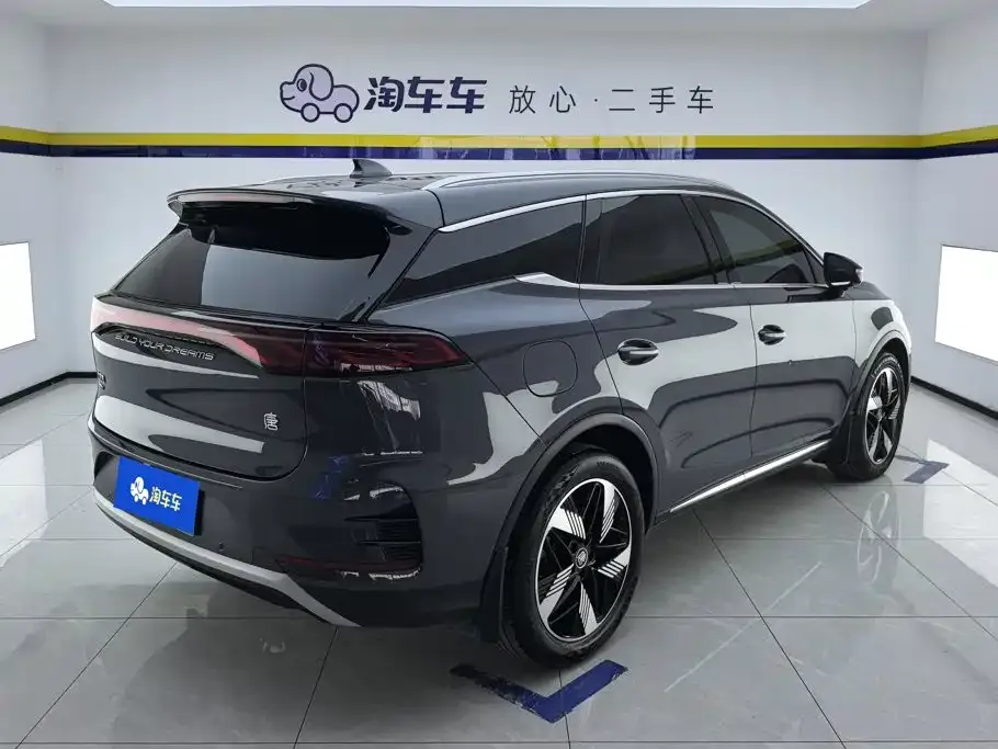 BYD Tang New Energy — фото 6
