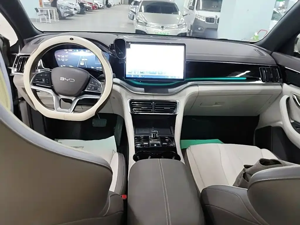 BYD PLUS New Energy — фото 8