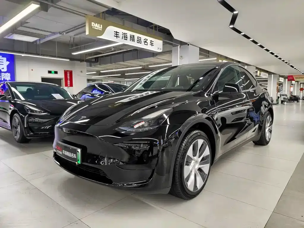 Tesla Model Y — фото 1
