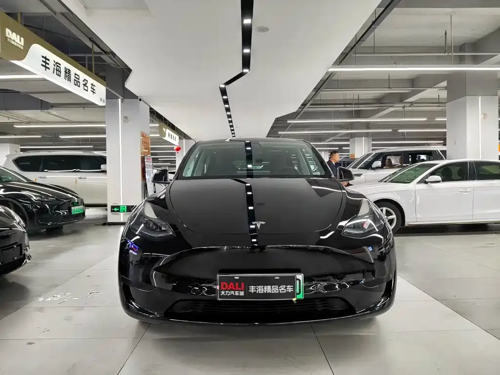 Tesla Model Y — фото 6