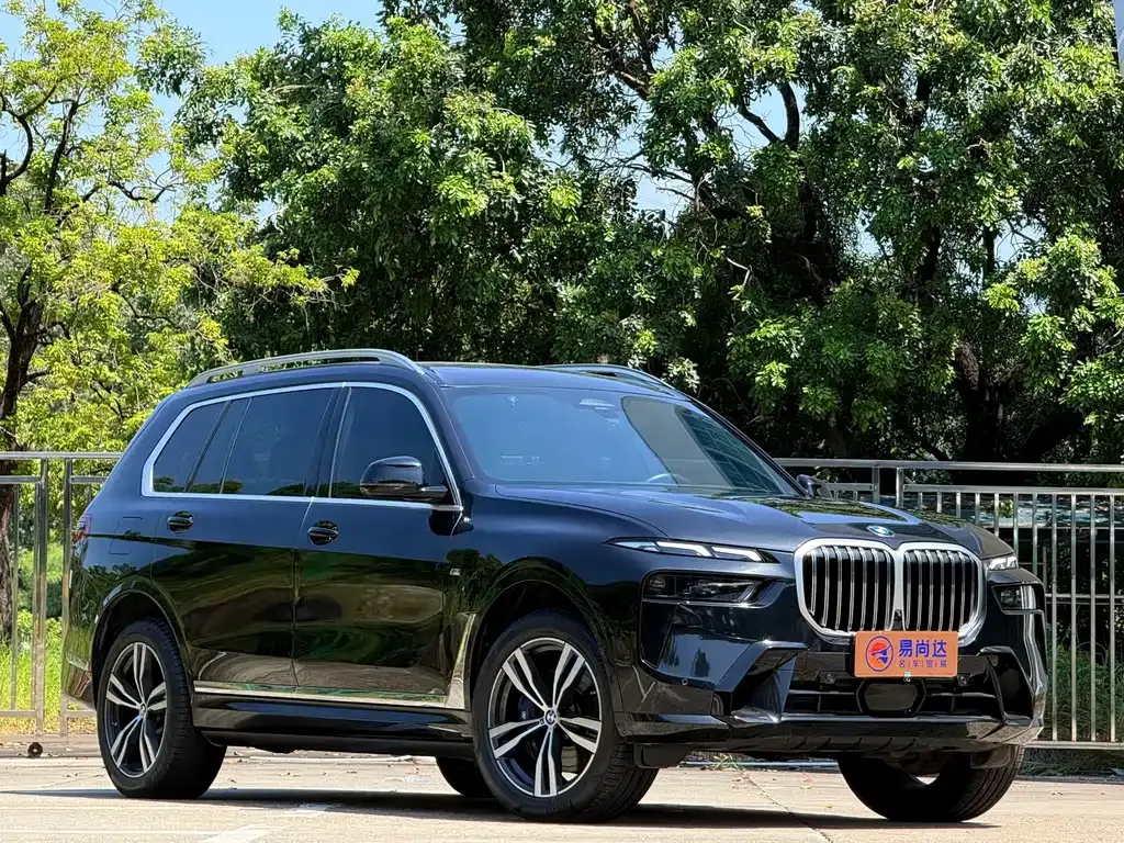 BMW X7 — фото 8