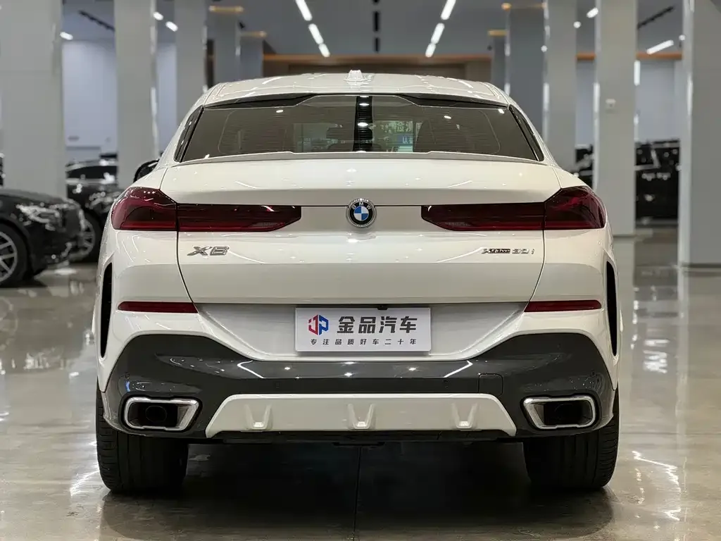 BMW X6 — фото 6