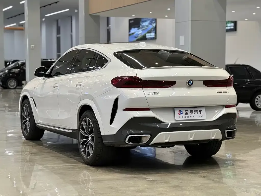 BMW X6 — фото 10