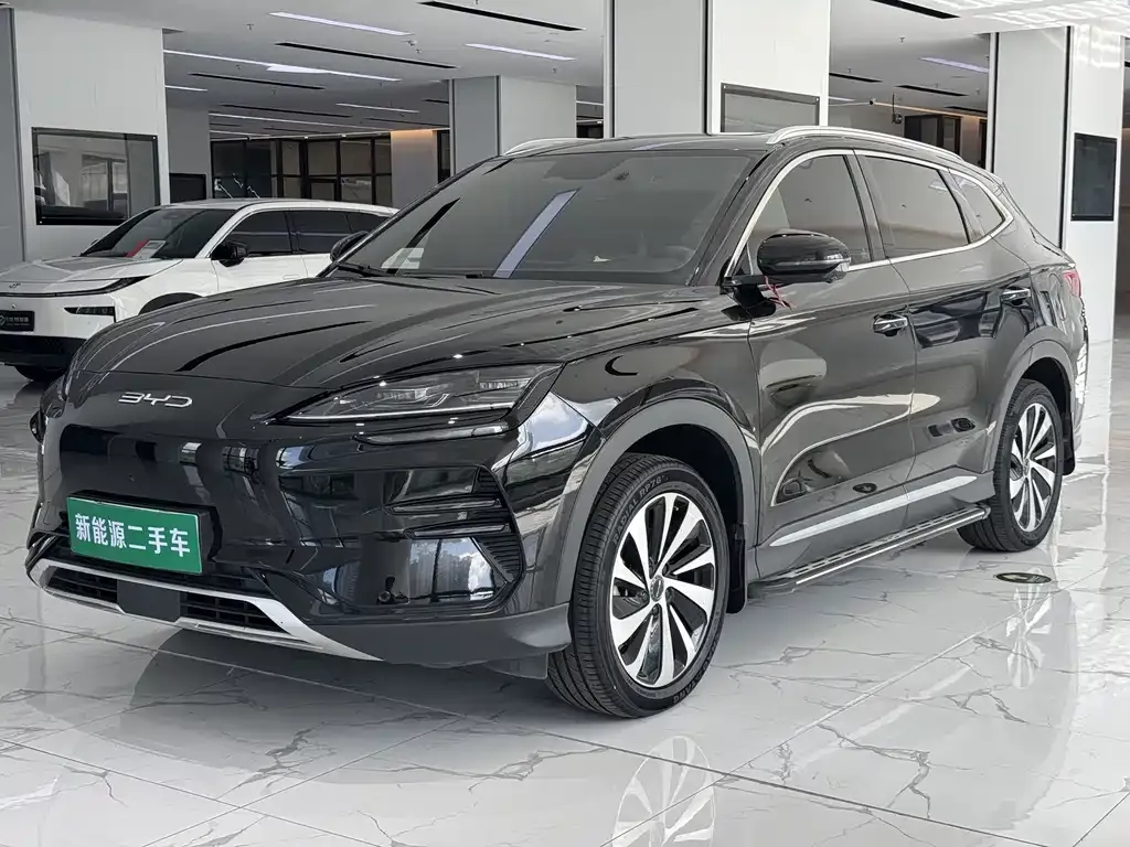 BYD PLUS New Energy — фото 1