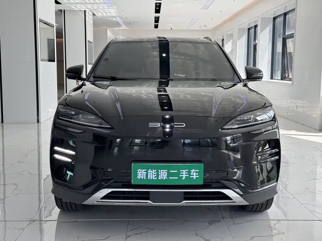 BYD PLUS New Energy — фото 4