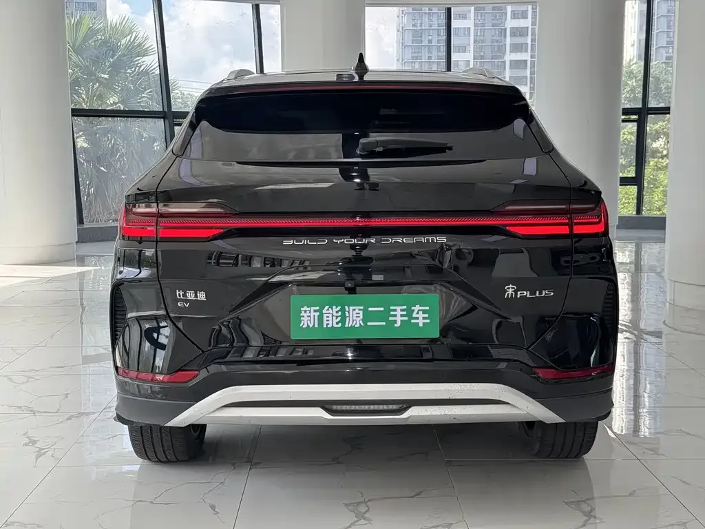 BYD PLUS New Energy — фото 3