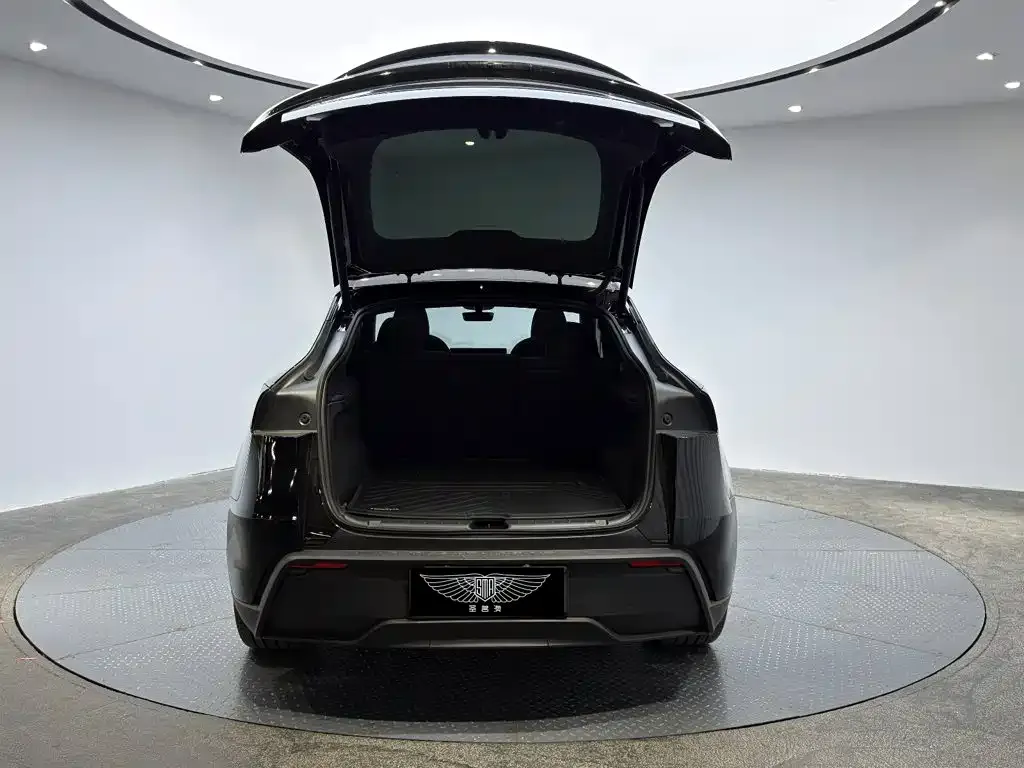 Tesla Model Y — фото 5