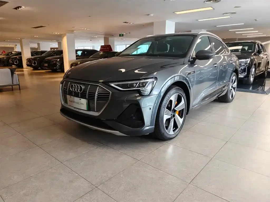 Audi e-tron (Import) — фото 1