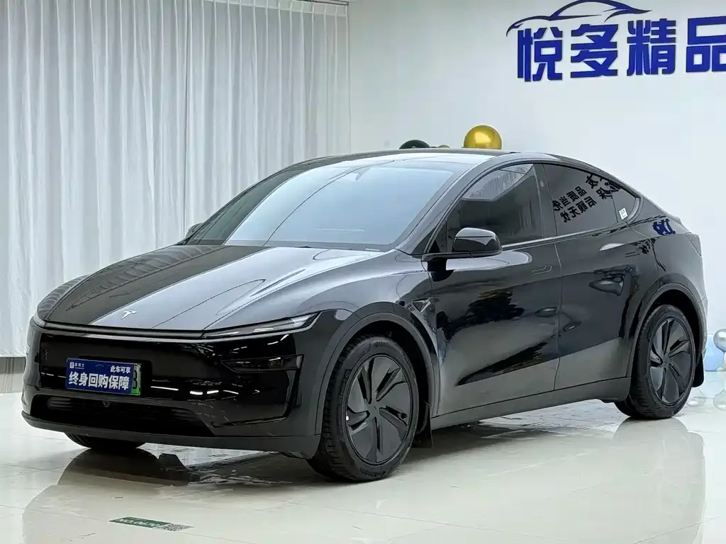 Tesla Model Y — фото 1
