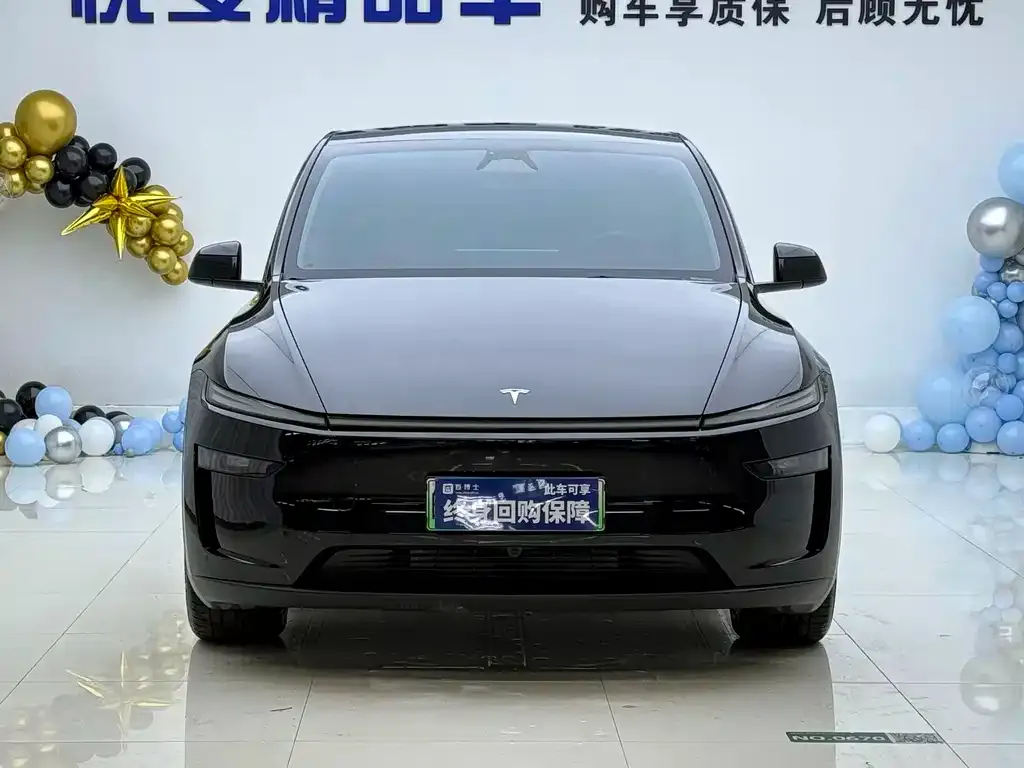 Tesla Model Y — фото 5
