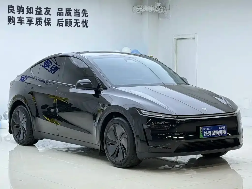 Tesla Model Y — фото 2