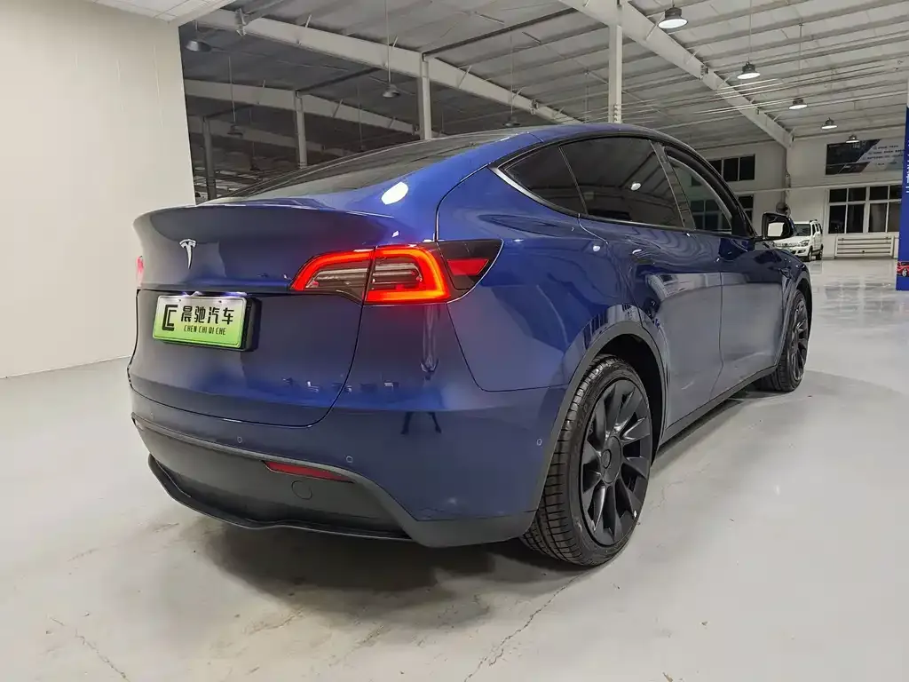 Tesla Model Y — фото 6