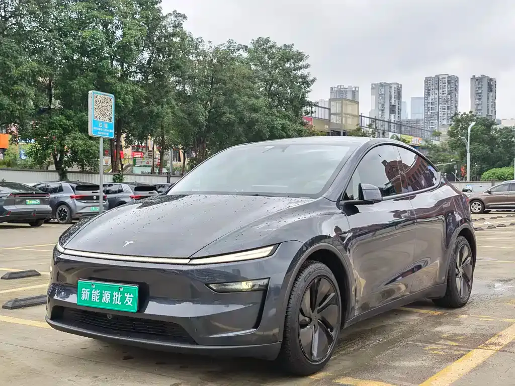 Tesla Model Y — фото 1