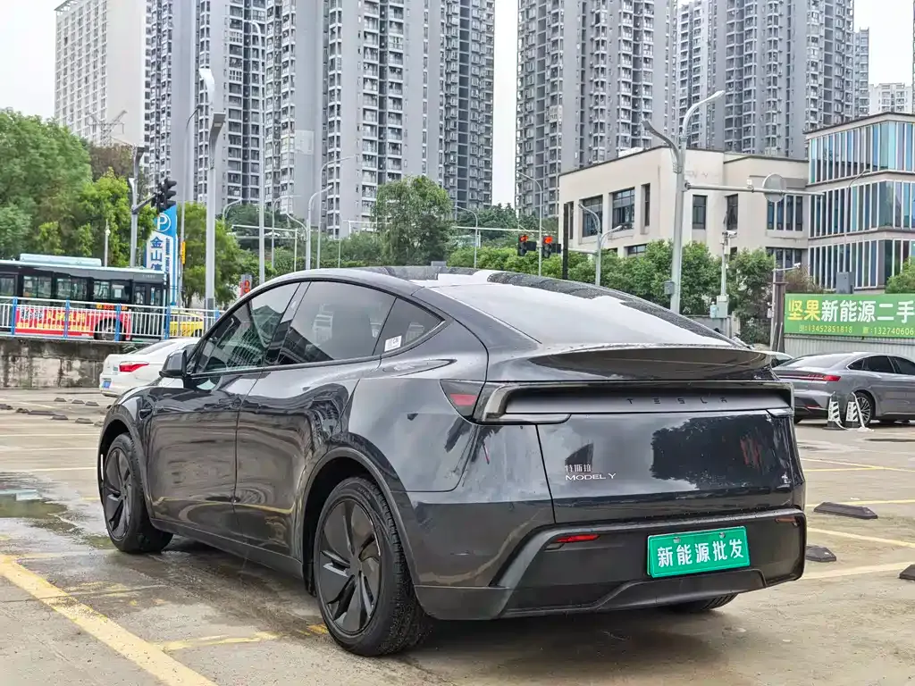 Tesla Model Y — фото 8