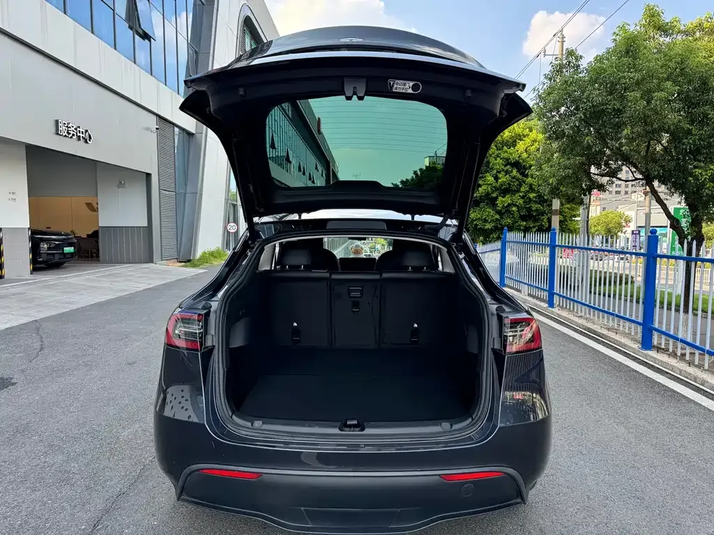 Tesla Model Y — фото 9