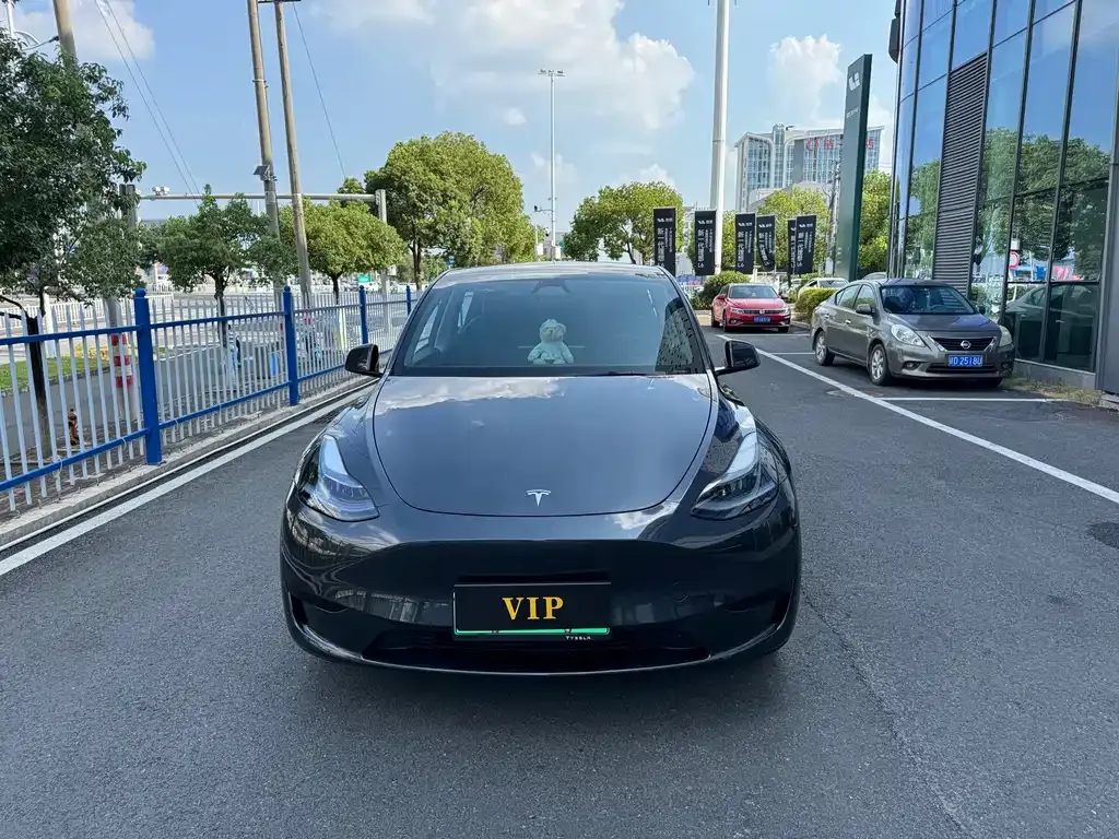 Tesla Model Y — фото 5