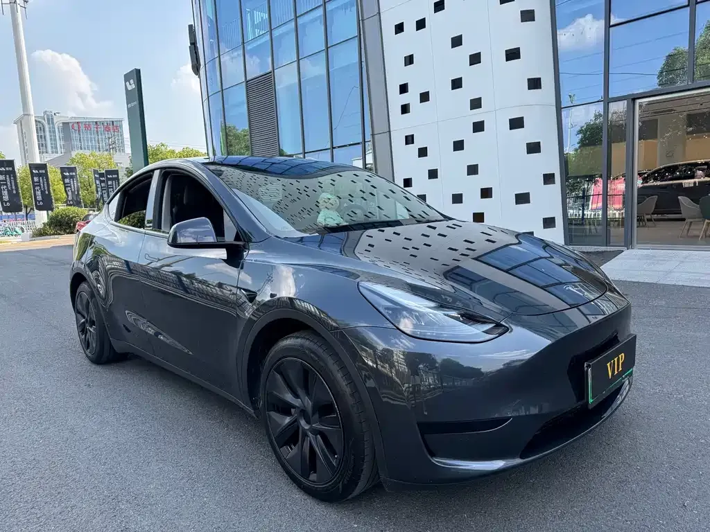 Tesla Model Y — фото 7